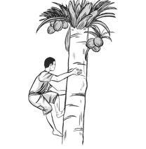 Solar Panel in trivandrum